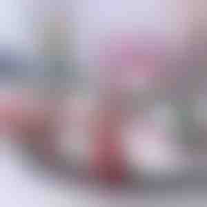 Karácsonyi vonat | TRAINMAS